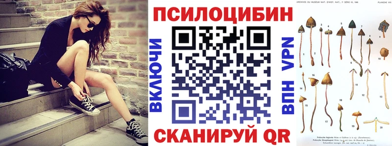 купить  цена  Черкесск  Галлюциногенные грибы прущие грибы 