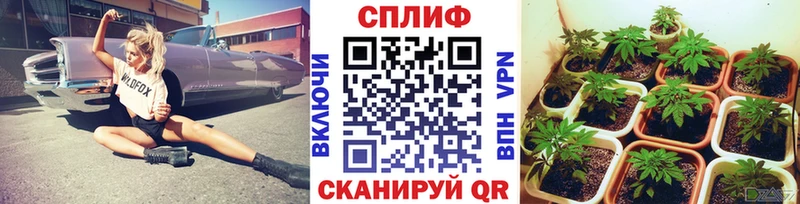 Бошки Шишки план  дарнет шоп  сайты даркнета формула  Черкесск 